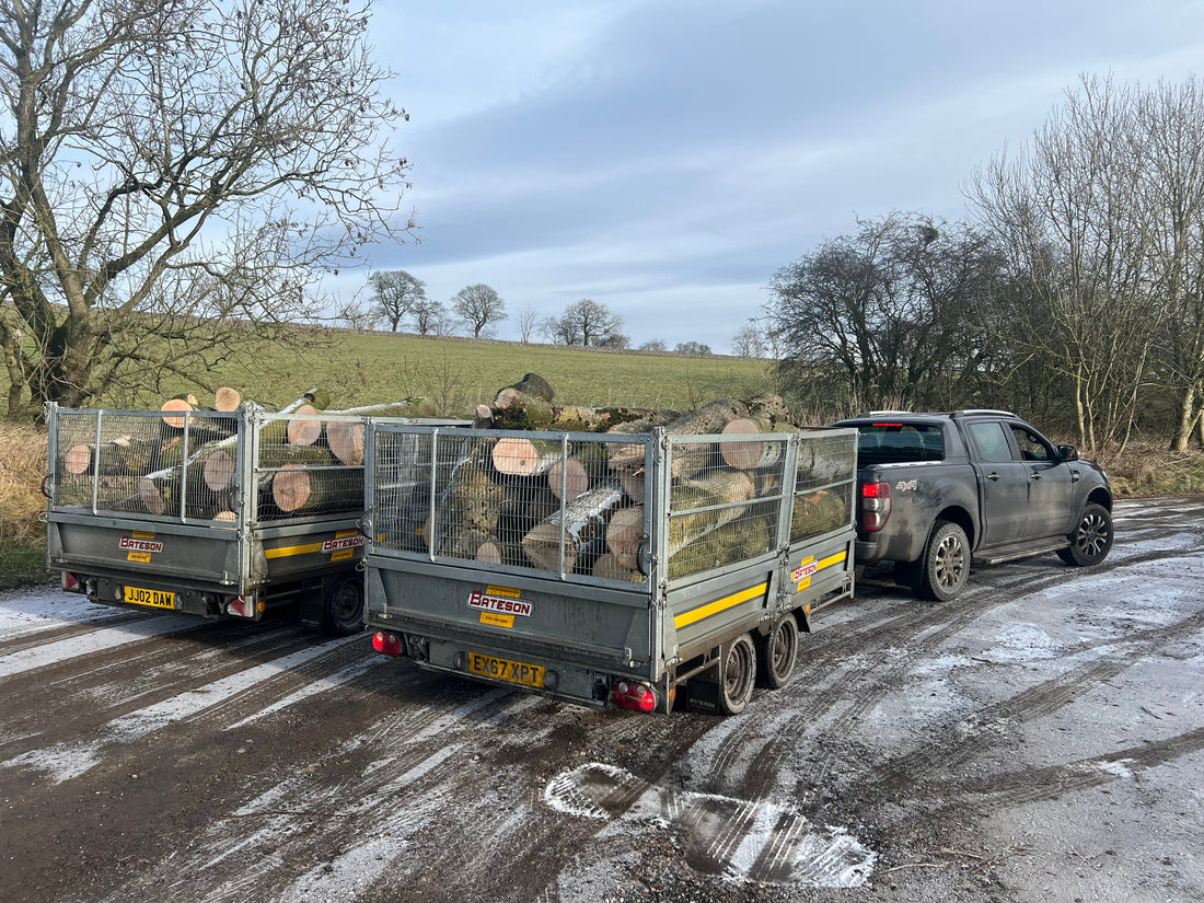 Logs from the Peak District: Locally Sourced, Kiln-Dried British Firewood