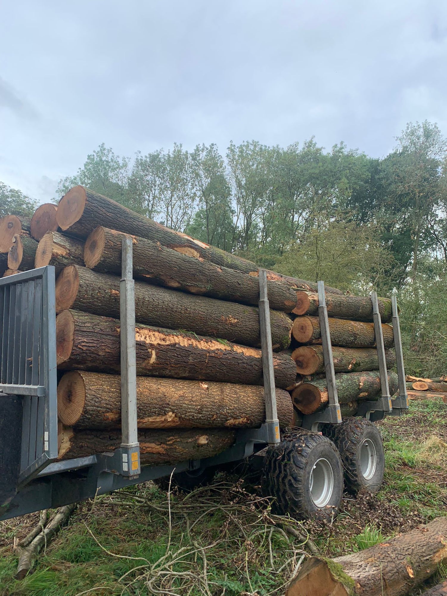 Kiln-dried hardwood logs supplied for firewood and barrow bags across Sheffield and Chesterfield
